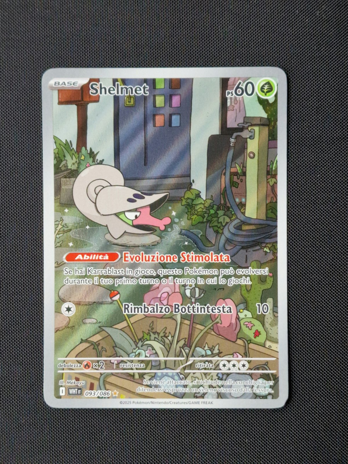 Carte singole - POKEMON