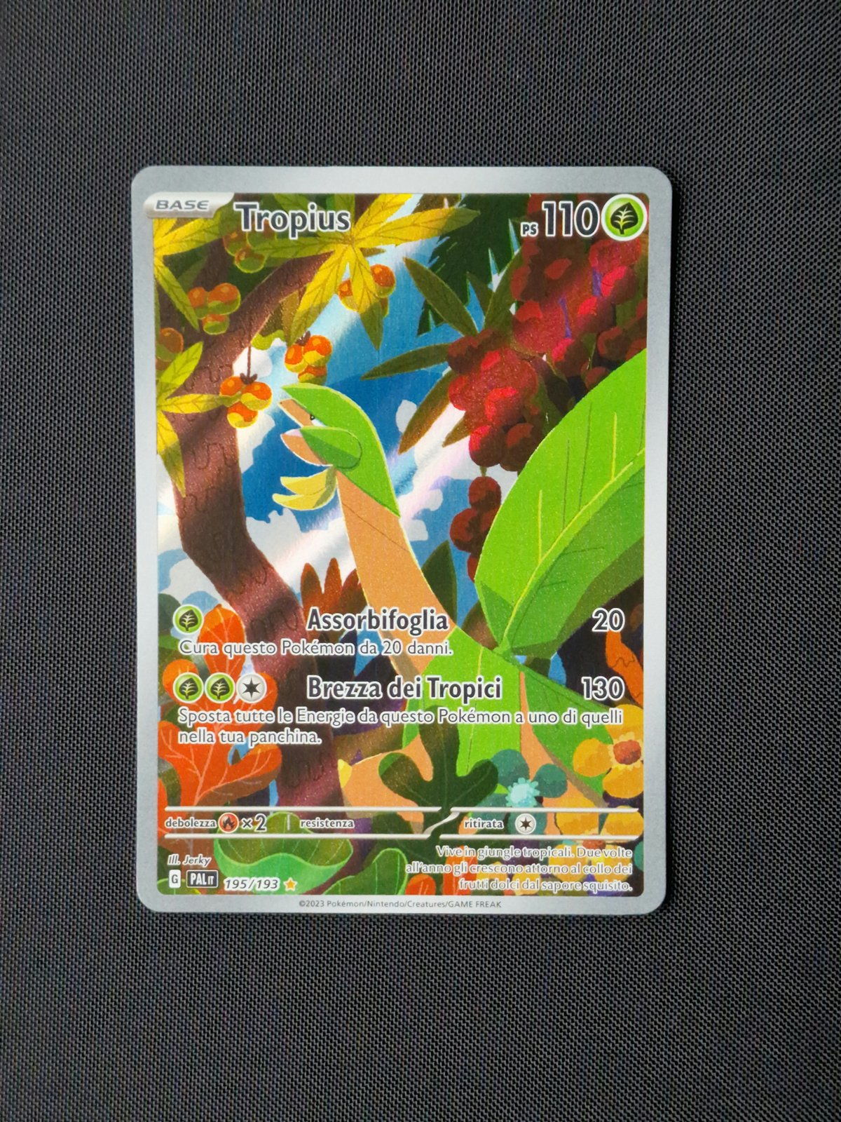 Carte singole - POKEMON