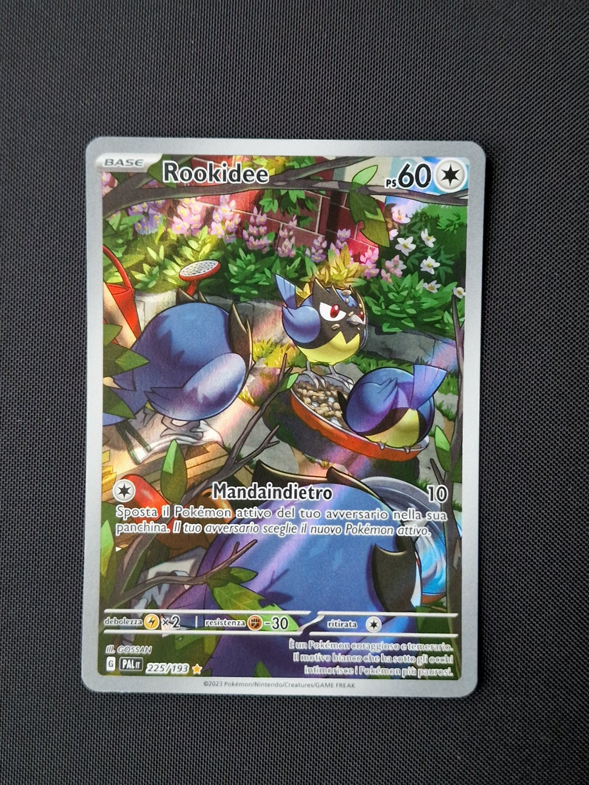 Carte singole - POKEMON